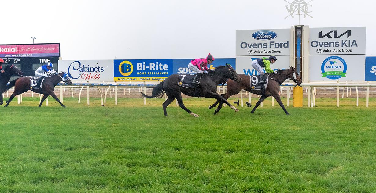 Hot Chips - Wangaratta 15th June 2025